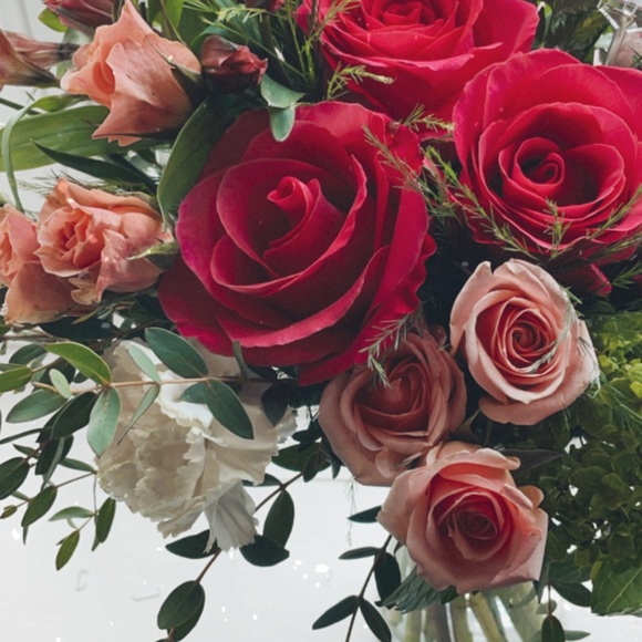 Meet your Posher, Roxanne - Picture 1 of 1